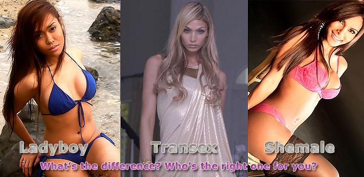 Difference shemale transexual