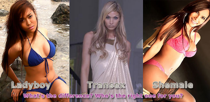 Asian Shemale Personals - What transsexual partner are you looking for ?